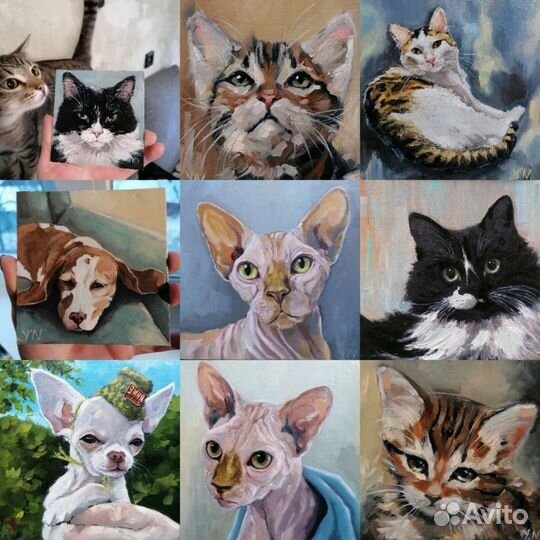 Художник. Портрет питомца на заказ. Картины маслом