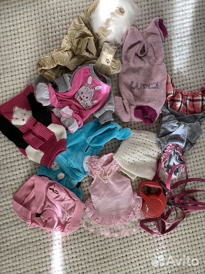 Одежда для животных