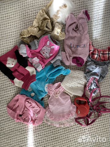 Одежда для животных