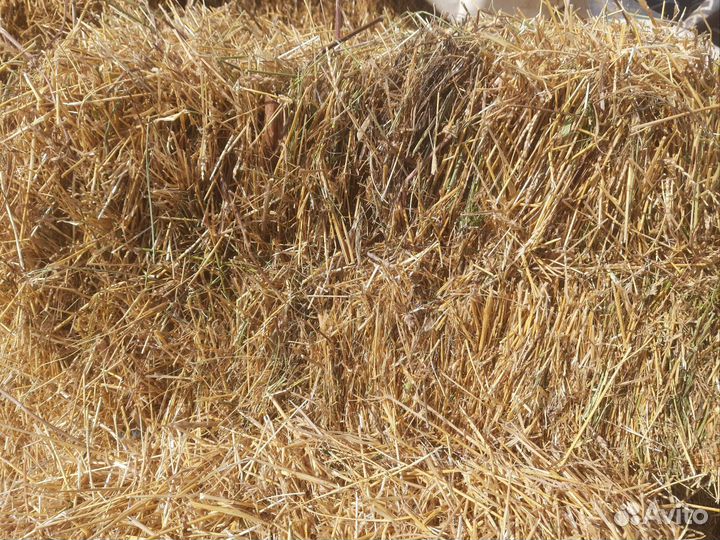 Продам солому пшеничную, ячменную,овсяную в тюках