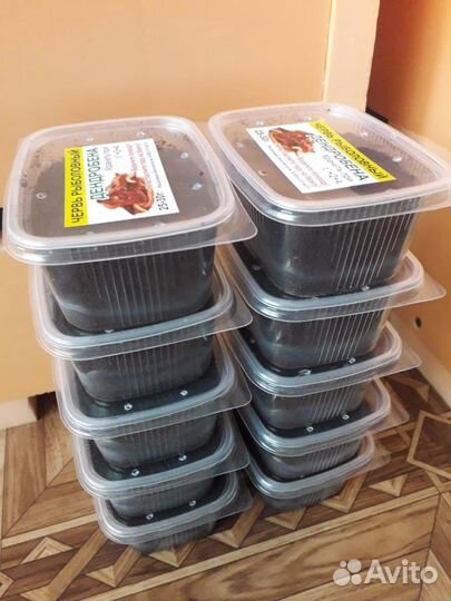 Червь Дендробена