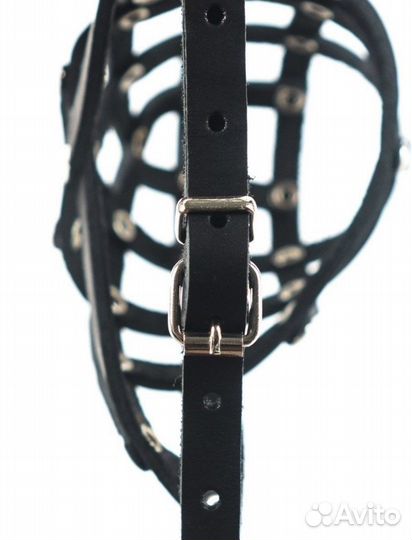 Намордник для собак