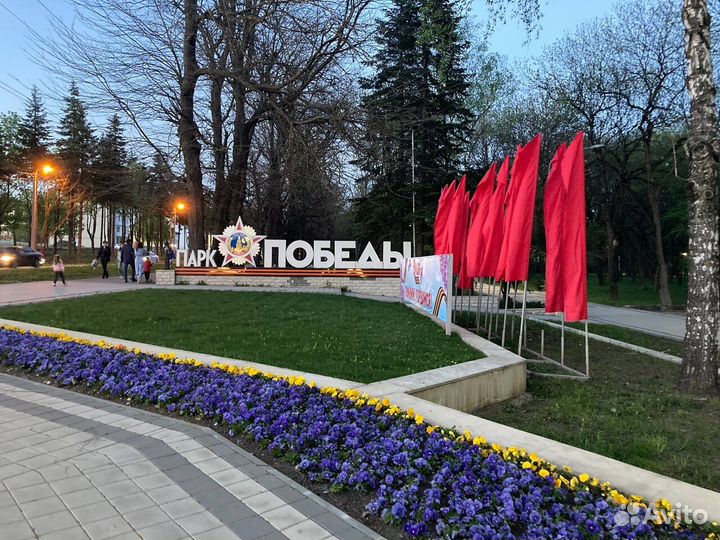 Оператор на атракционы