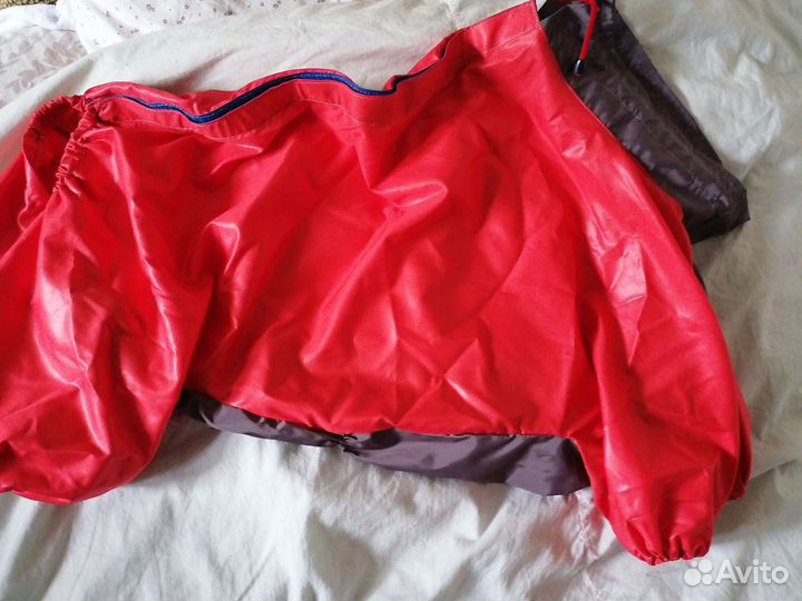 Дождевик, Ошейник и поводок для собак