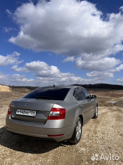 Аренда авто шкода октавия