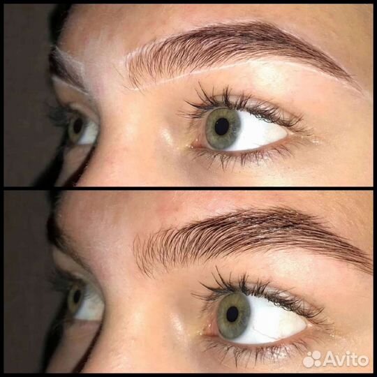 Мастер бровист