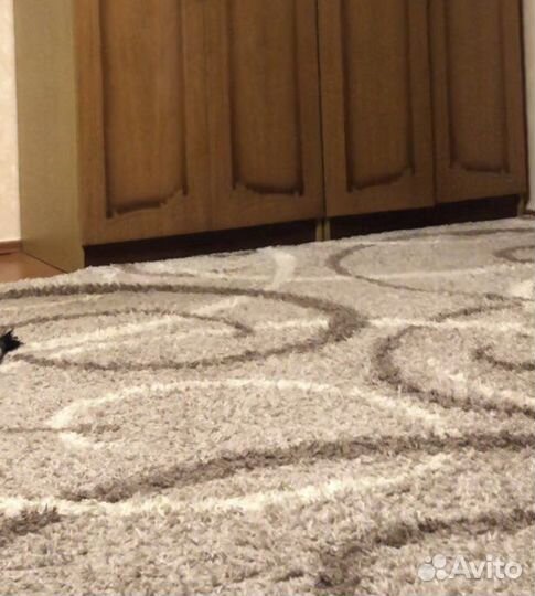 Длиноворстный ковер 23 м.кв