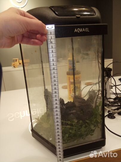 Аквариум