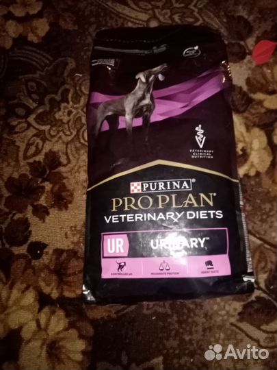 Корм для собак