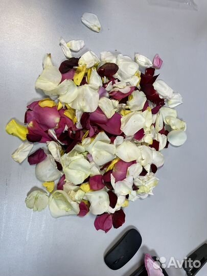 Лепестки роз