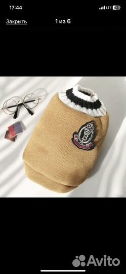 Собачья одежда