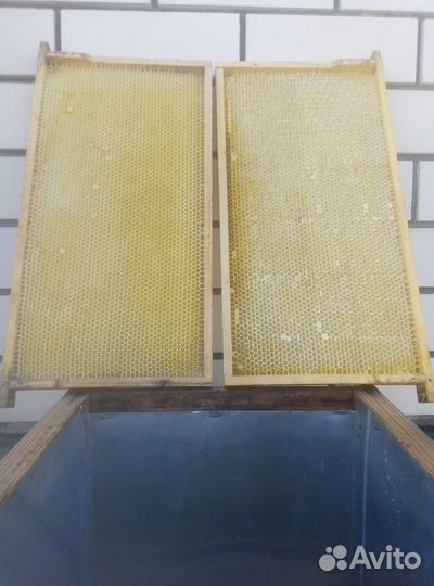 Сушь для пчел