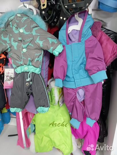 Одежда для собак