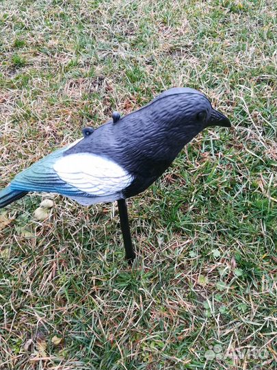 Чучело сороки Sport Plast