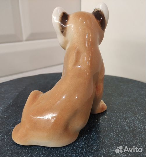 Львёнок лфз