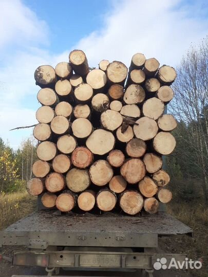 Лес кругляк строевой