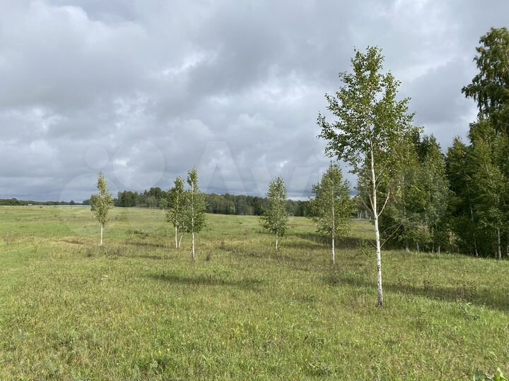 Участок 5,2 га (СНТ, ДНП)