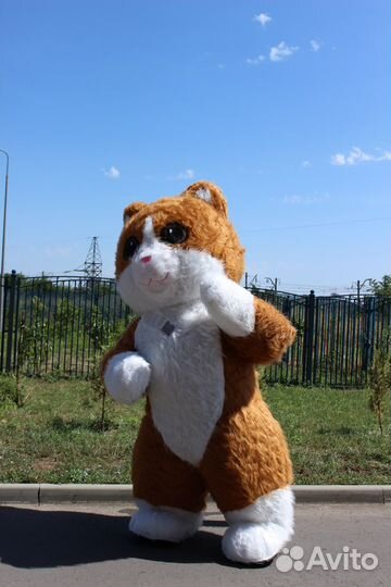 Большой белый мишка и кот. Поздравление с музыкой