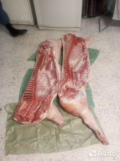 Мясо свинина