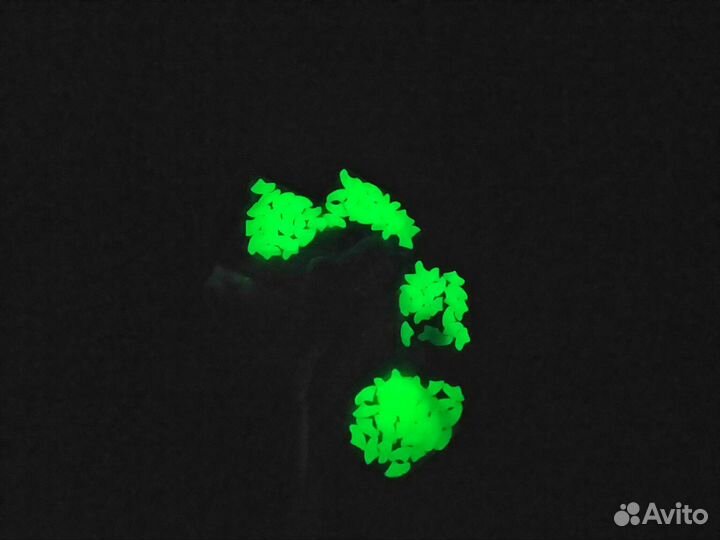 Антицарапки светящиеся