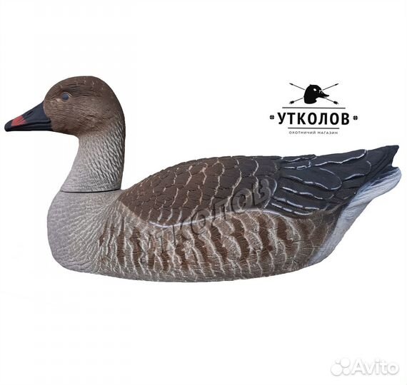 Чучело разборное гуся 