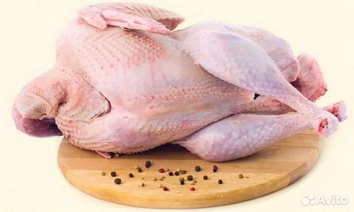 Индюки домашние на мясо