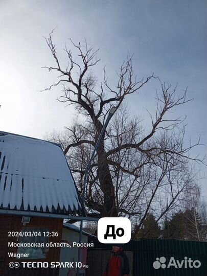 Демонтаж,Спил деревьев.Облагораживание территории