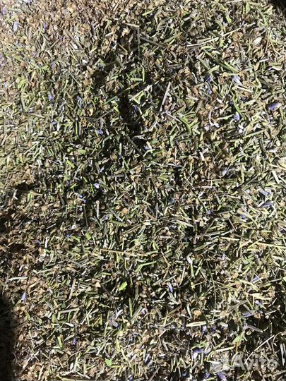 Лаванда отсев