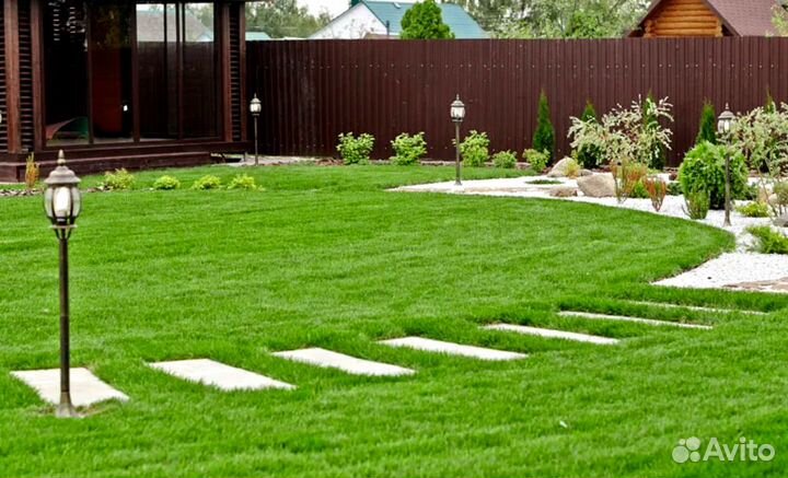Рулонный газон, укладка. Посев