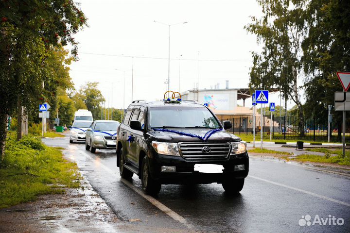 Свадебные украшения на машину в аренду