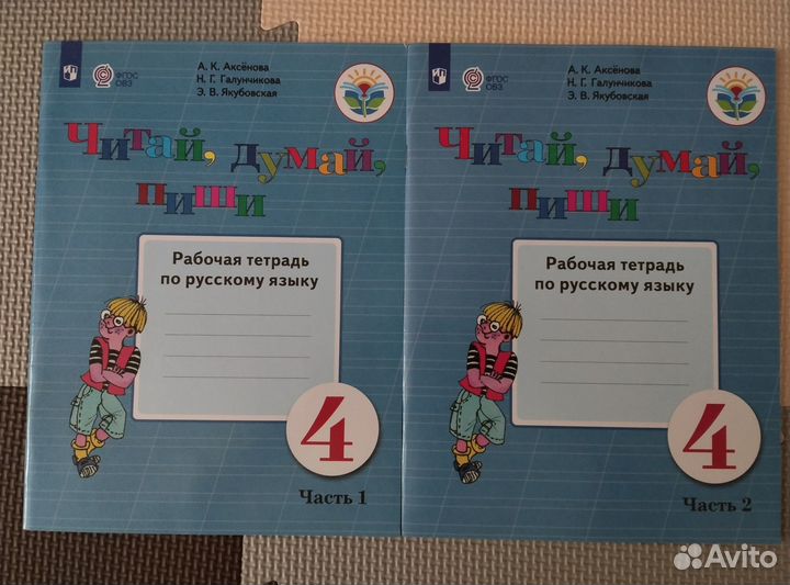 Рабочие тетради для детей с овз 4-5 классы