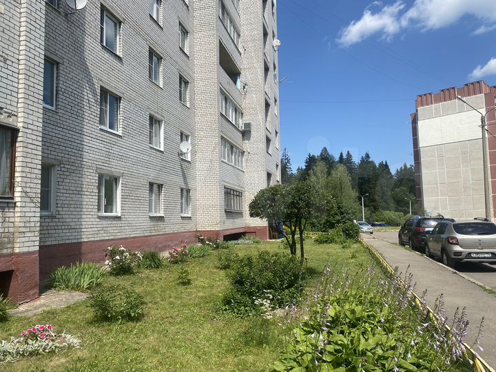 2-к. квартира, 51,4 м², 9/9 эт.