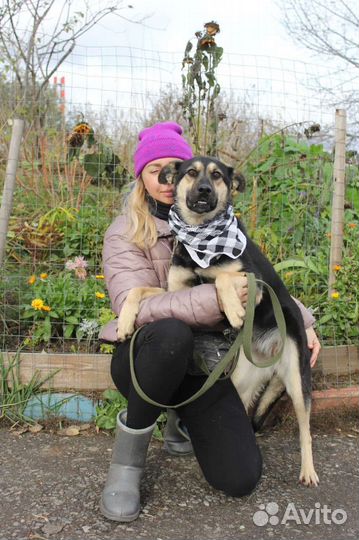 Малышка Рут ищет семью