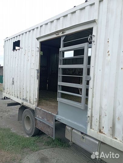 Услуги по перевозке животных, скотовоз, крс