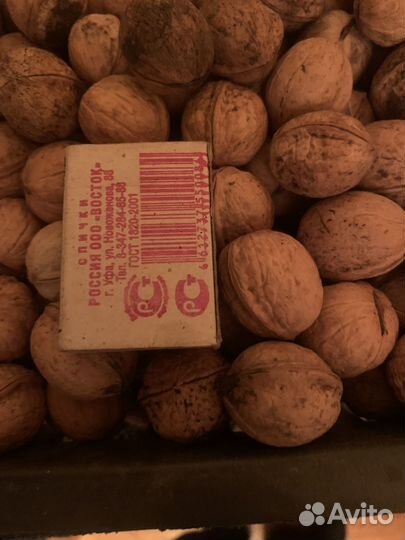 Грецкий орех