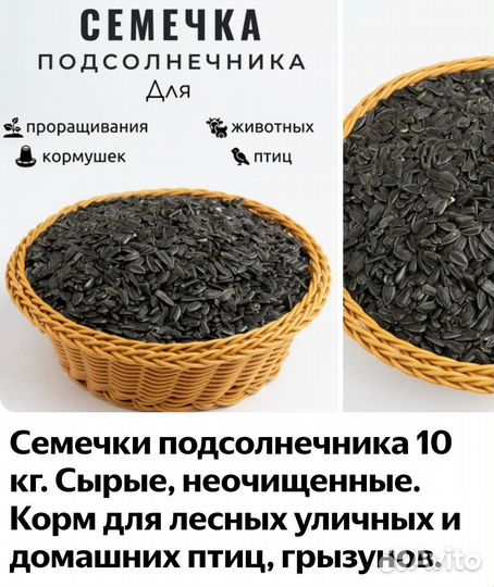 Семечки подсолнечника для с/х птиц