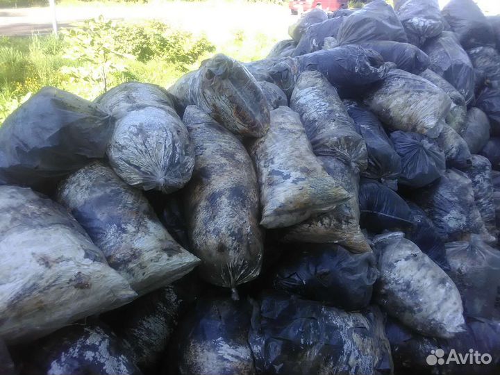 Блоки вешенки отработка