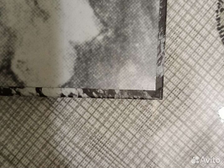 Среди эльфов и троллей