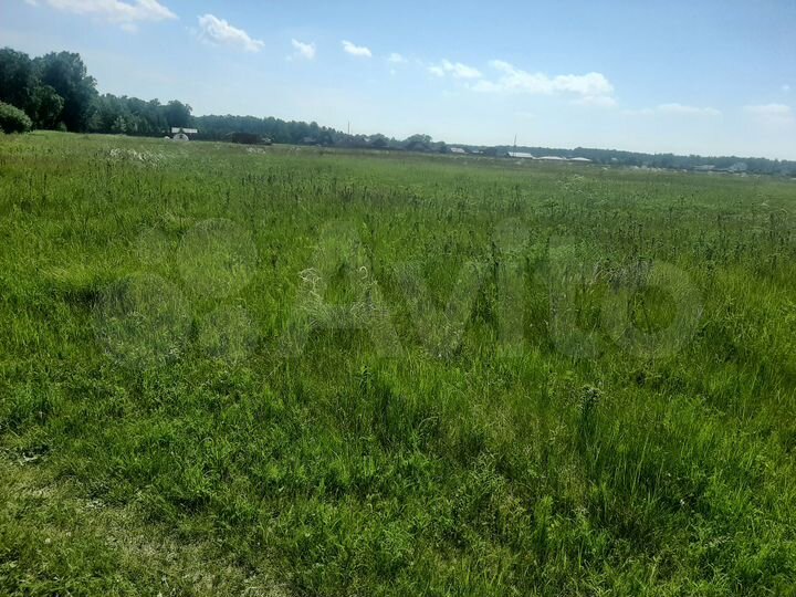 Участок 12,9 сот. (СНТ, ДНП)