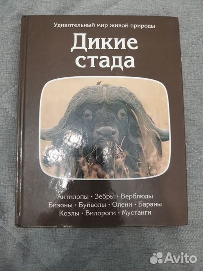 Удивительный мир живой природы