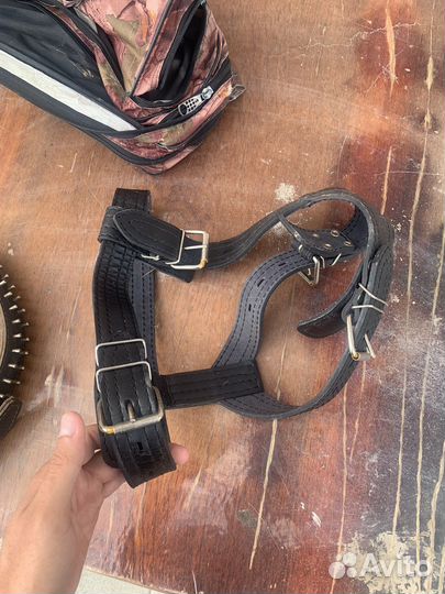 Шлейка для крупных собак и ошейник