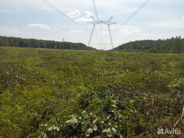 Требуется бригада на расчистку лэп