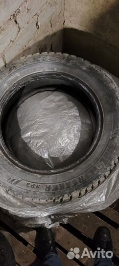 Maxxis ArcticTrekker NP3 205/60 R16 96T