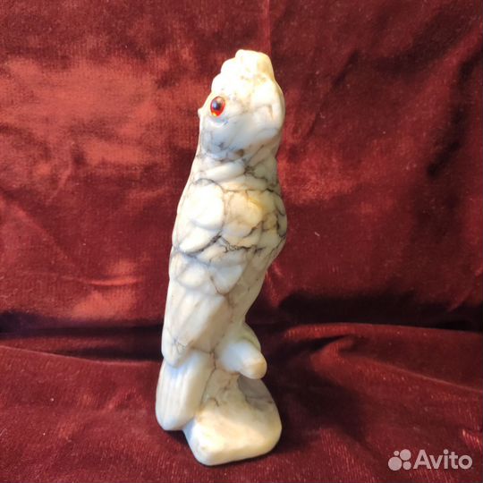 Мраморный попугай СССР