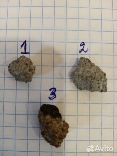 Фрагменты метеорита падения 1998 г