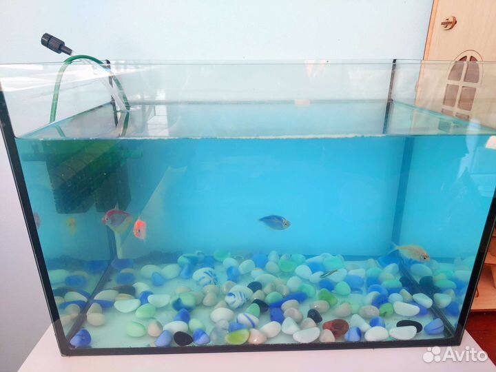 Аквариум