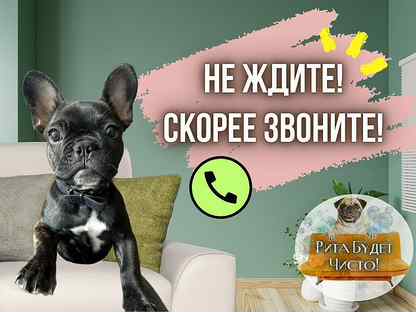 Гениральная уборка в квартире. Томилино, Островцы