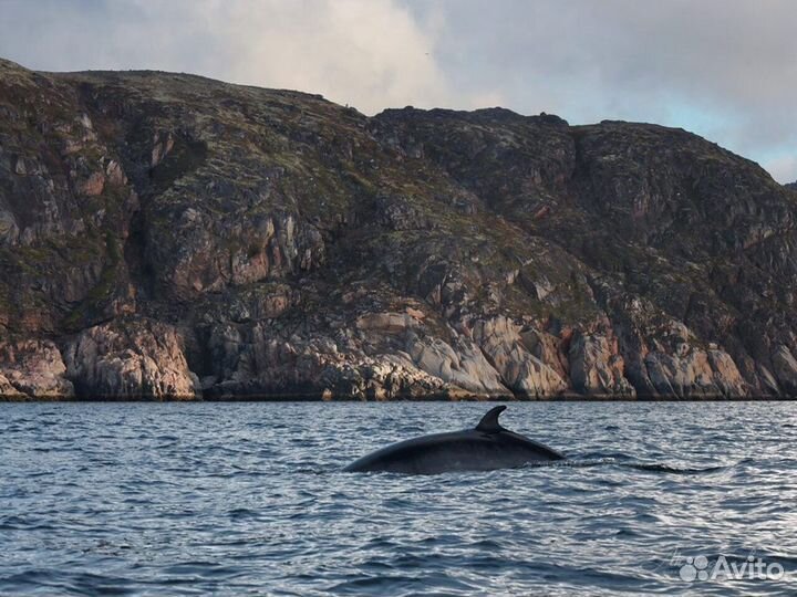 Туры териберка Экскурсия Мурманск