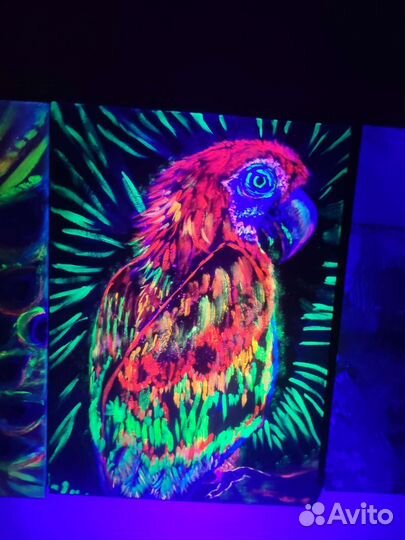 Картина светящаяся попугай glow