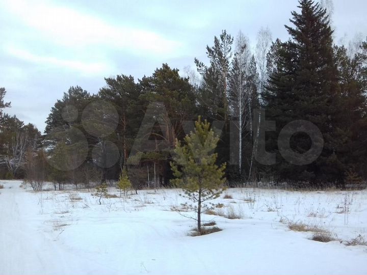 Участок 1,2 га (СНТ, ДНП)